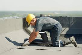 Best Asphalt Shingle Roofing  in Nekoosa, WI